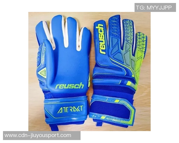 梦幻足球联盟守门技巧解析助你成为顶级门将的秘密武器